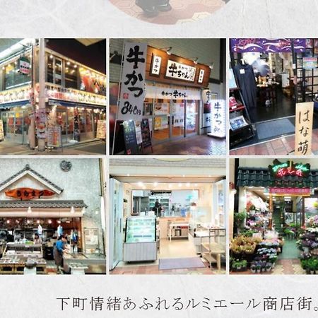 Shinkoiwa House At Jr Line.Easy To Airport&Disney. Τόκιο Εξωτερικό φωτογραφία