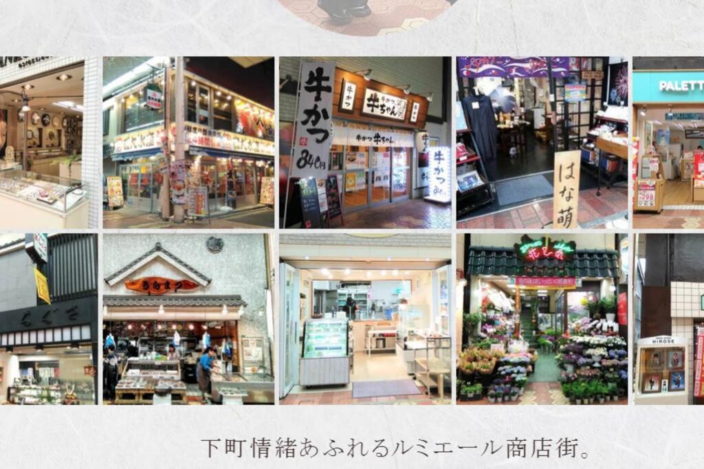 Shinkoiwa House At Jr Line.Easy To Airport&Disney. Τόκιο Εξωτερικό φωτογραφία